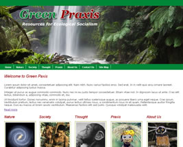 green paxis