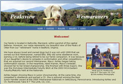 weimaraners