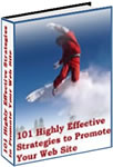 web site promotion ebook